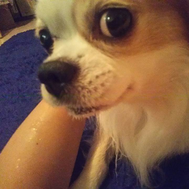 3b1c24f2 82a0 4aea 845e 5950b0e931db