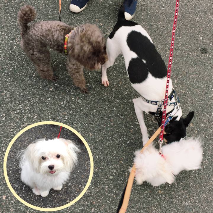 3b1c2516 5306 4873 89b0 90c139fd586c