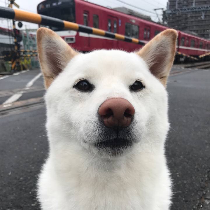 3b1c599f 1535 407b 968f 717239be8dea