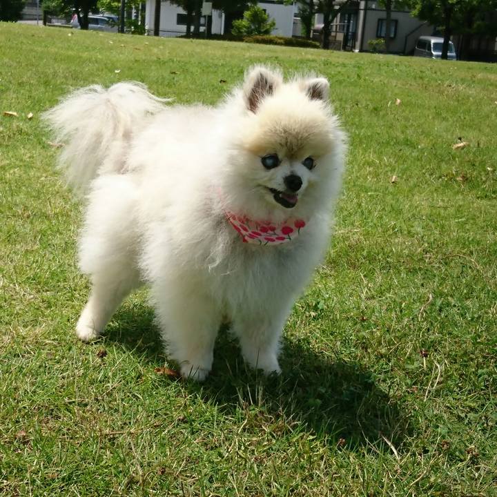 3b1cca84 5b9b 44e1 a2d8 6b855271b6d8