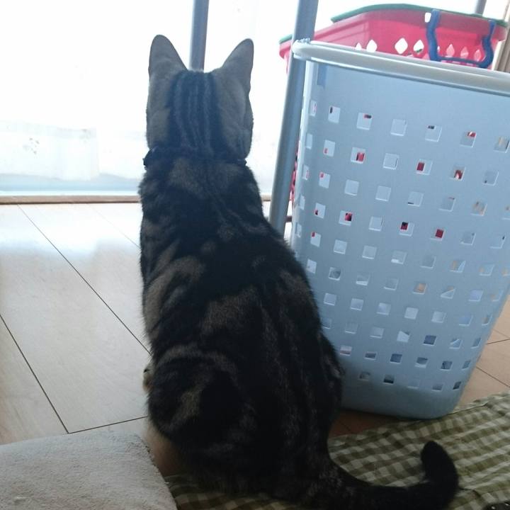 3b1e74b6 95b7 4664 8c10 b910562ab117