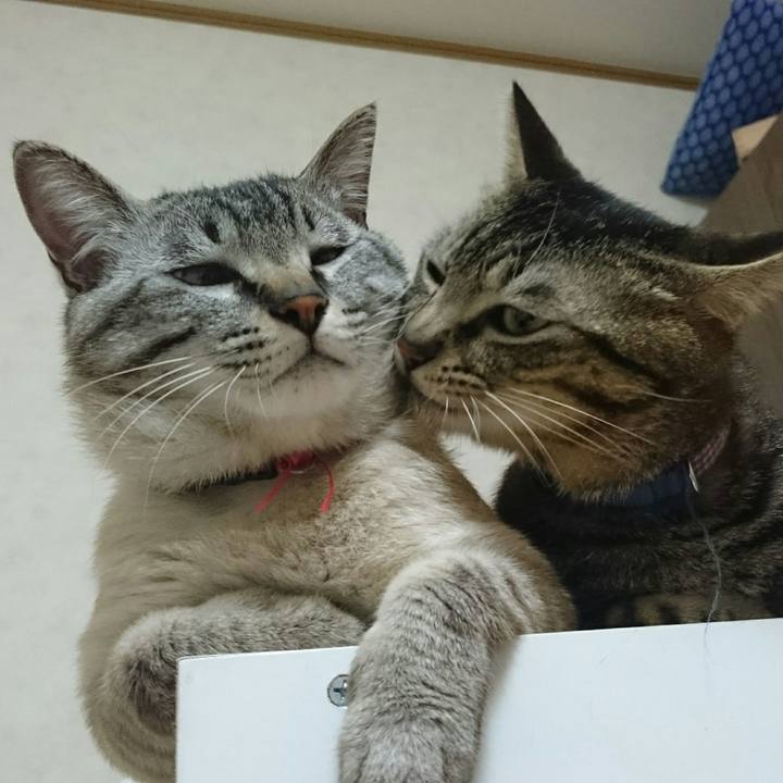 3b1e9ff0 ce6a 4d08 9dcf a999a734e09b