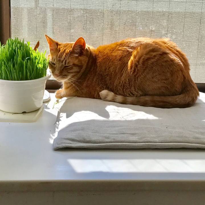 3b1eea27 8166 4495 8042 0b9c419b2a6c