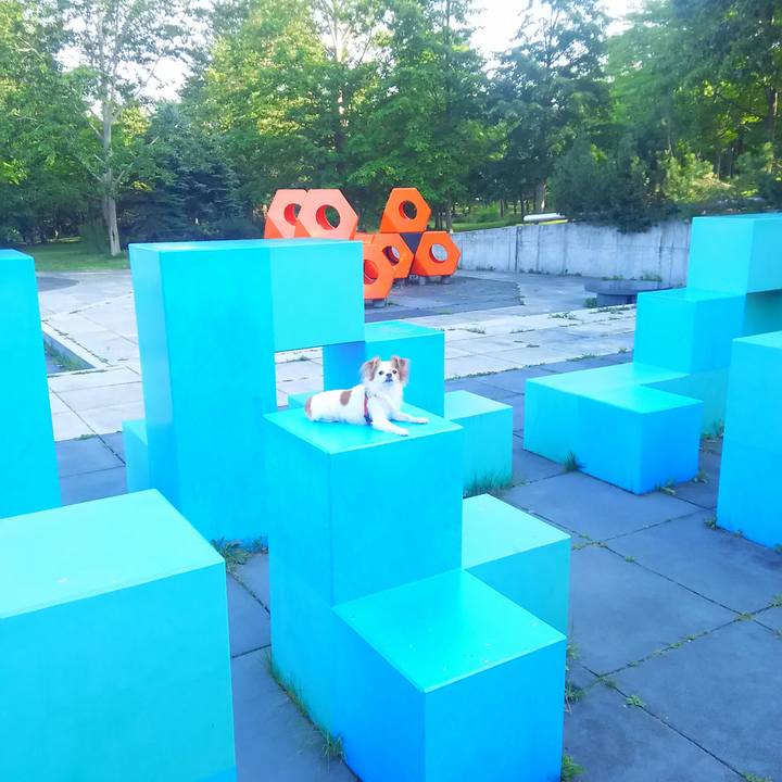 3b1f0dd6 aa76 4f2e 8160 3f91b9dd90c5