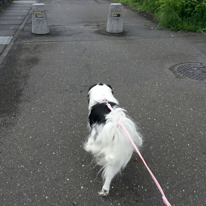 3b1fd7ff 2ba0 4f9b b16f f1a7a7edb1b9