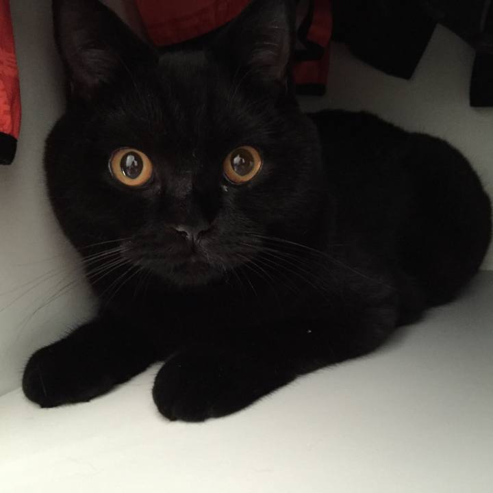 3b1fef74 1d3a 4063 a7fa a246d5d7b08f