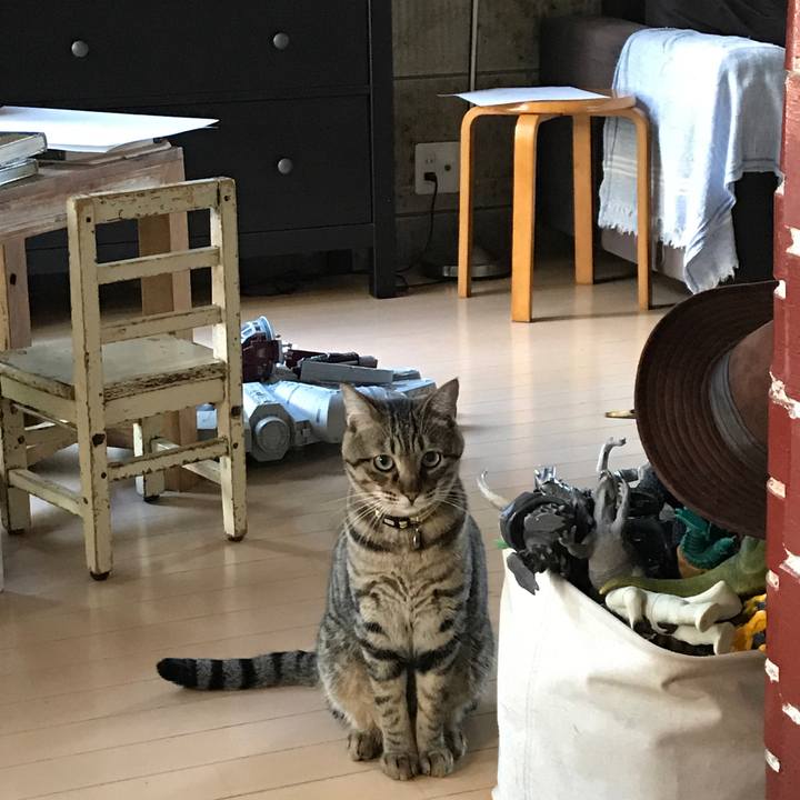 3b2014c1 da56 47d3 ad65 3819a370c5d4