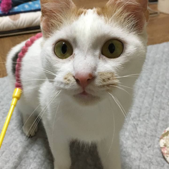 3b21d505 c46c 4ecb 9773 96f632cd56e9