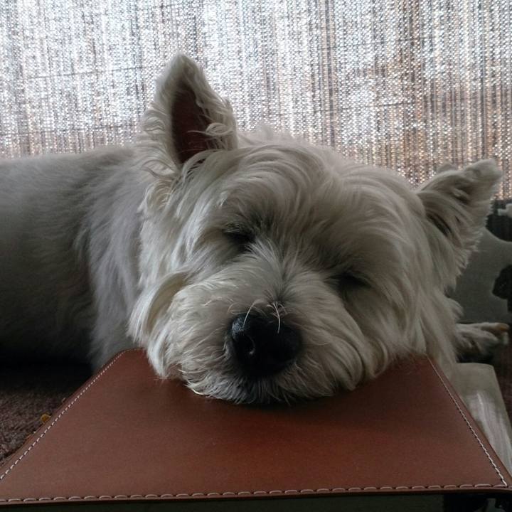 3b2210b2 b928 4ca6 a162 caf5a8943eed