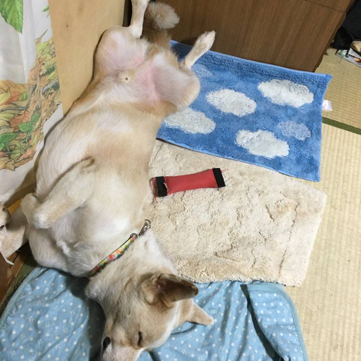 3b224f71 8486 4da0 82eb 043248724a97