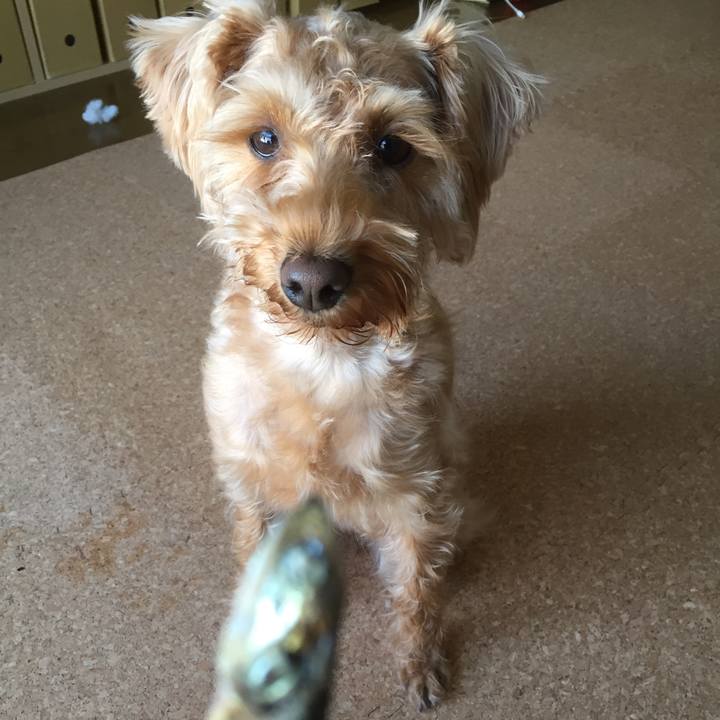 3b233b20 1321 459d b326 c6dd3ef34fb0