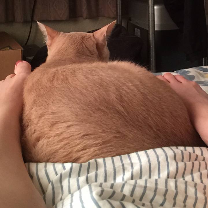 3b23b9f0 4345 4209 afba d2bfa27ff8cc