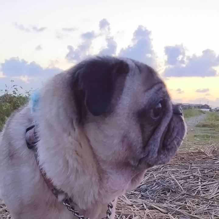 3b2439e9 9a51 45fc a1af fd151afbab25