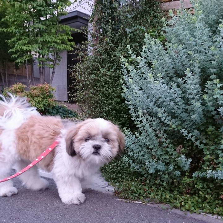 3b24511d b4c0 4980 89cf ccef0f4bf9cf