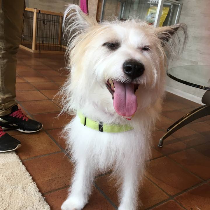 3b2481b5 2348 4e52 9474 8c3bf19c591b