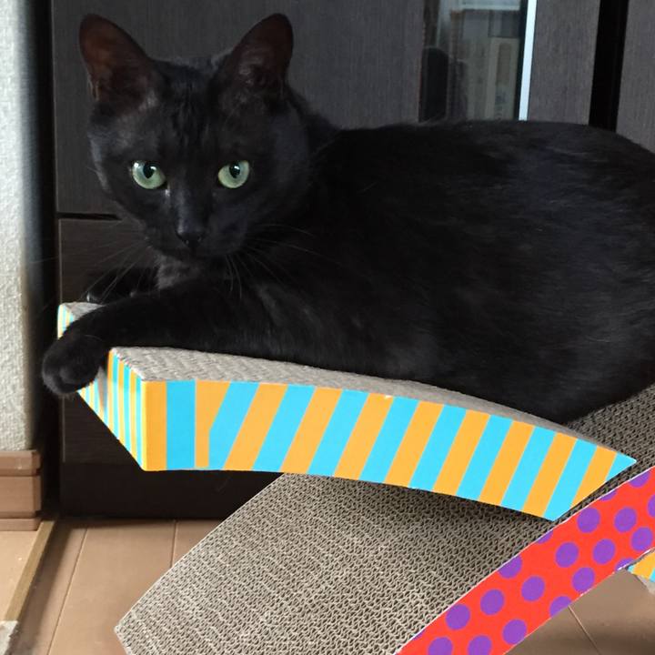 3b24cebf 3d98 49fc b107 ccdb553536cd