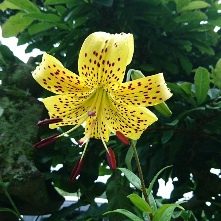 3b2734db 5eb8 4474 8ec1 12d649e6271b