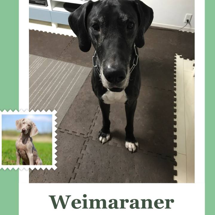 3b275ebe 1605 4ee4 8016 7399a567c389