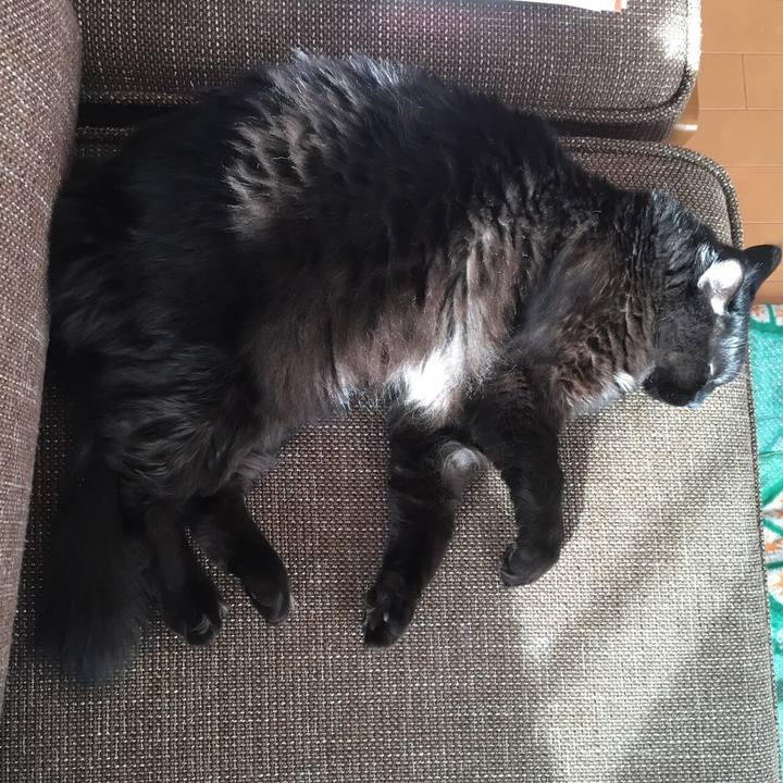 3b27f545 d9d6 4b06 a2f9 ce5e3b5095f6