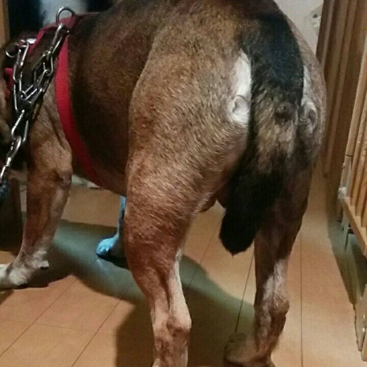 3b284914 0402 44ff 83fa 3325117f5642