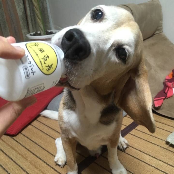 3b28822a 0f59 4c31 bf2c 5b7aaea648f3