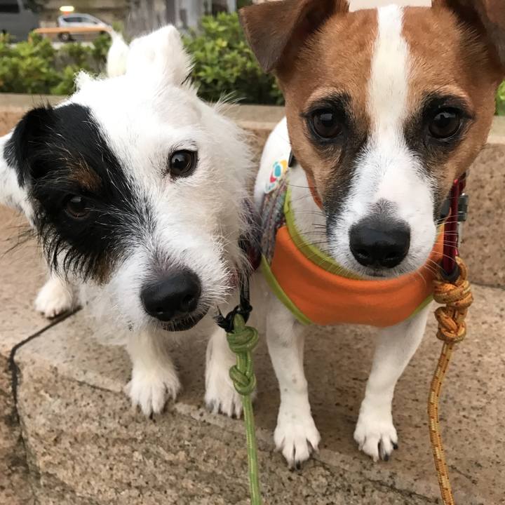 3b293e1e 172f 4abc b2c3 9785ae2e702d