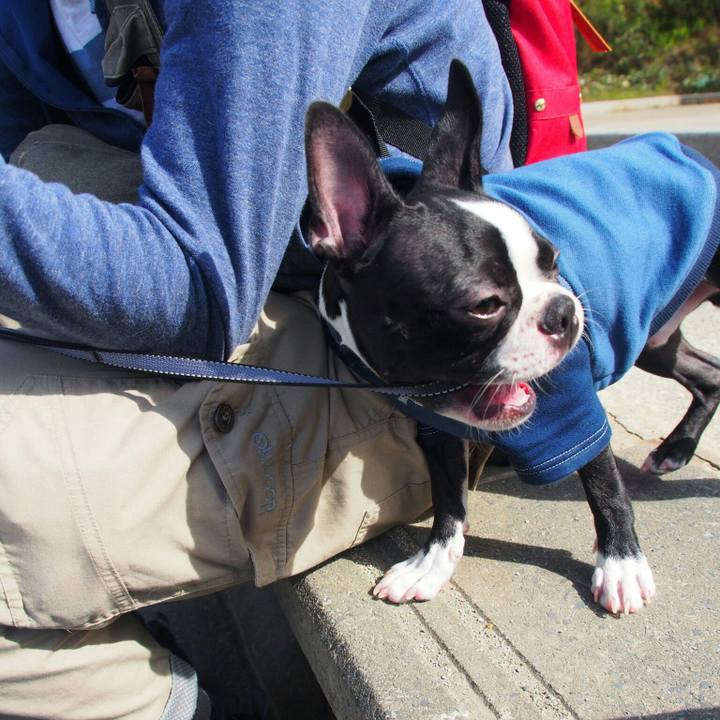 3b294de1 eb76 4080 917c e6a116002743