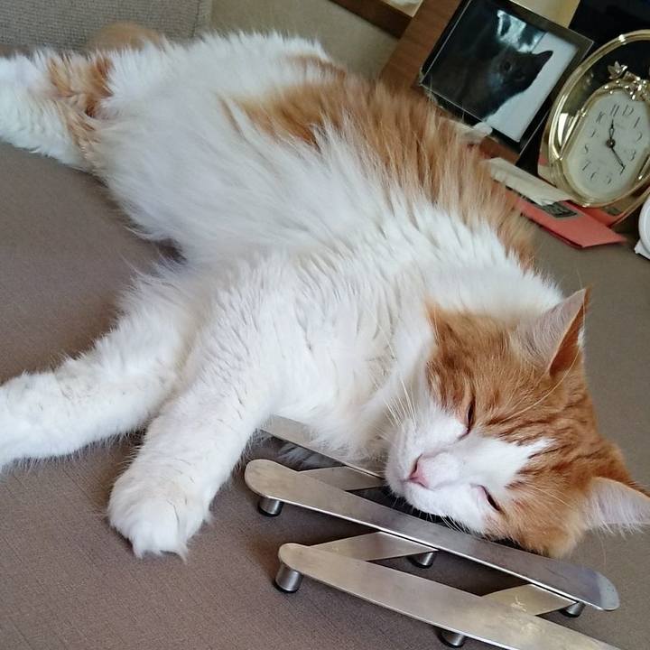 3b29944d af81 4b6a 82f1 efef44730f60