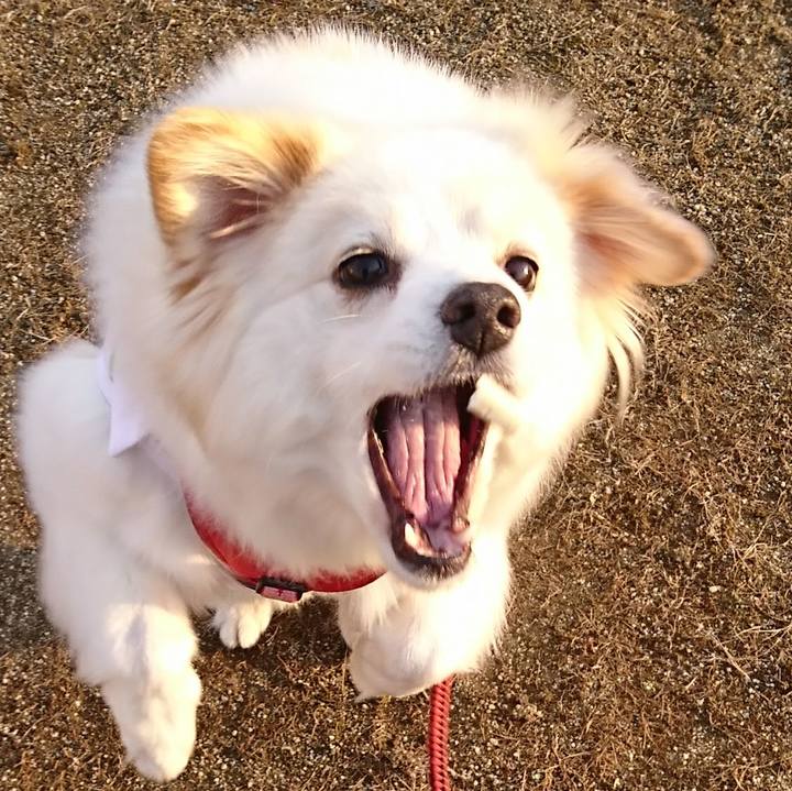 3b299964 637f 4822 8a38 385ec5a6da7f