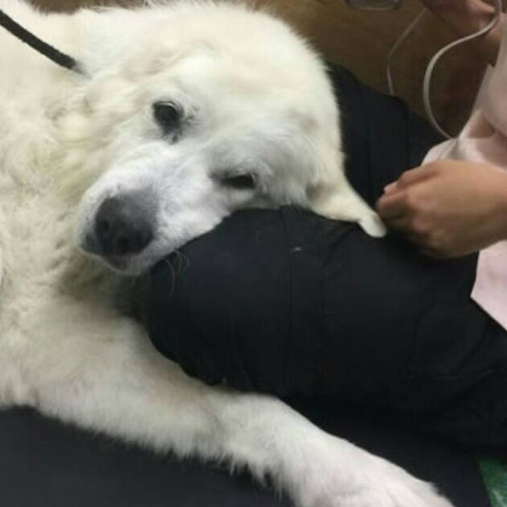 3b29c261 59d7 4869 ab3c 4c5d93f3e65f