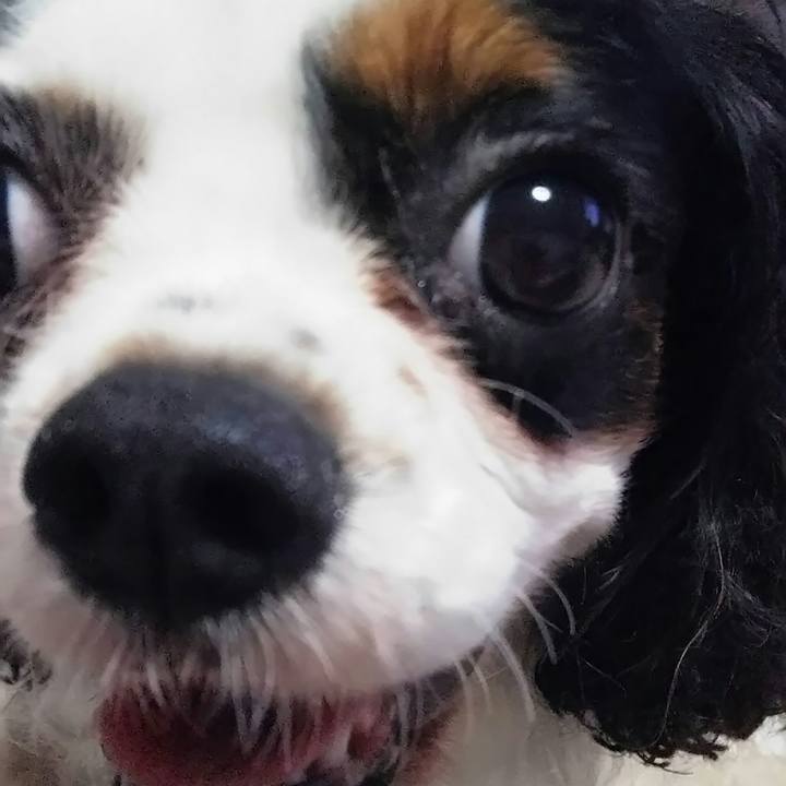 3b2a6270 90fa 4023 b909 941dd67df982