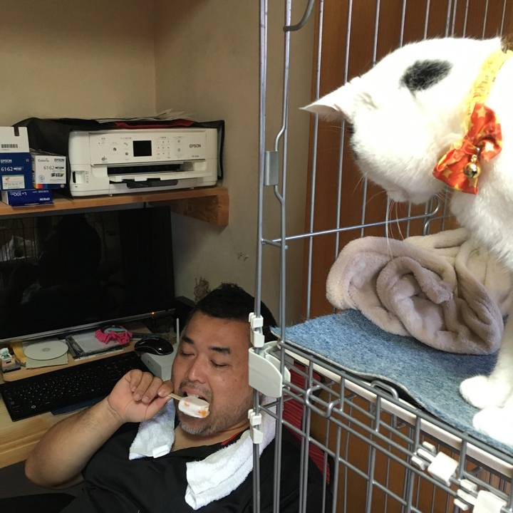 3b2ae059 e125 4872 ad89 7d826a9f60b4