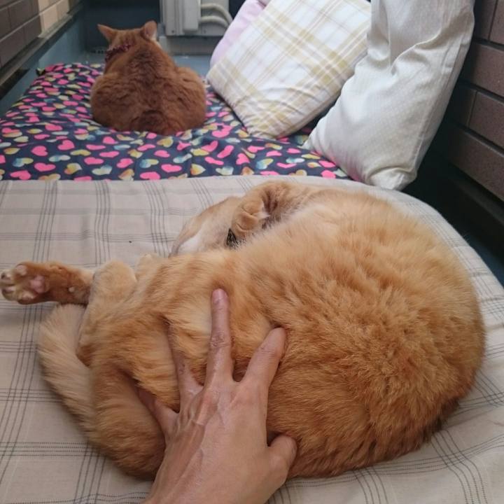 3b2ae8a6 bd06 4247 a04f a8bf93437dd4