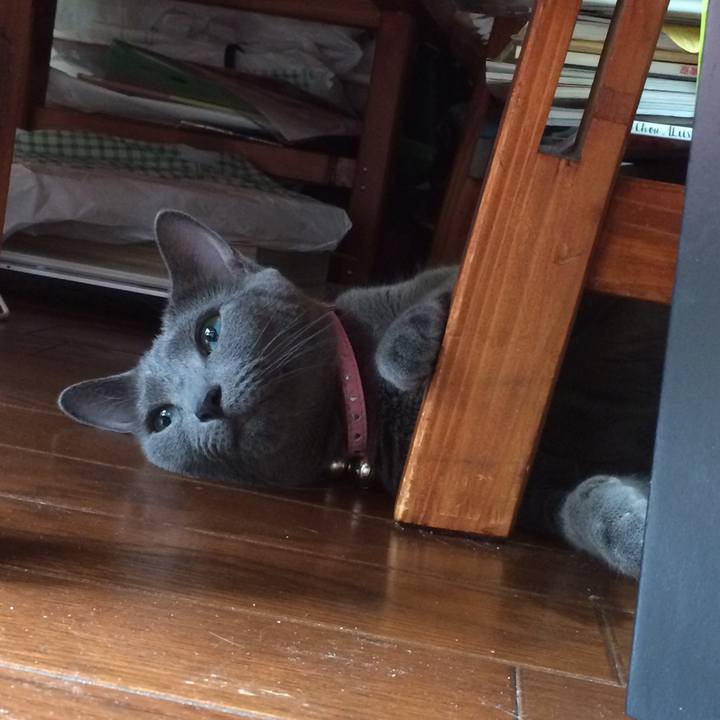 3b2ba7a5 eda6 401f af7c 549621a6997c