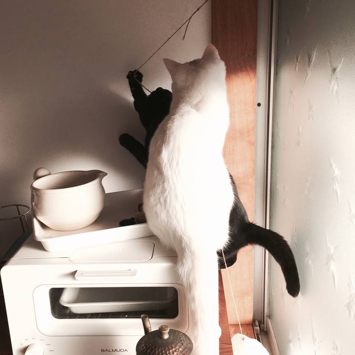 3b2c1eae bbe1 4766 8913 5b124ca04de3