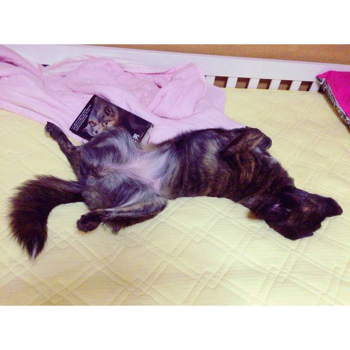 3b2c5a82 a9ad 4c34 ba7d 8185cc20623f