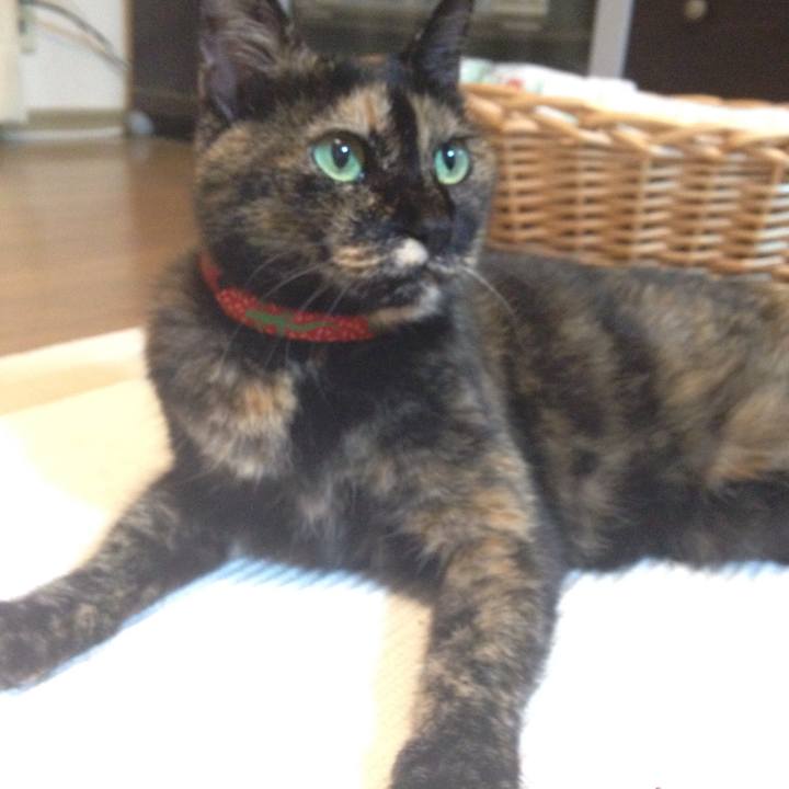 3b2cb5b7 a4ee 4fc6 b559 c61da348753b