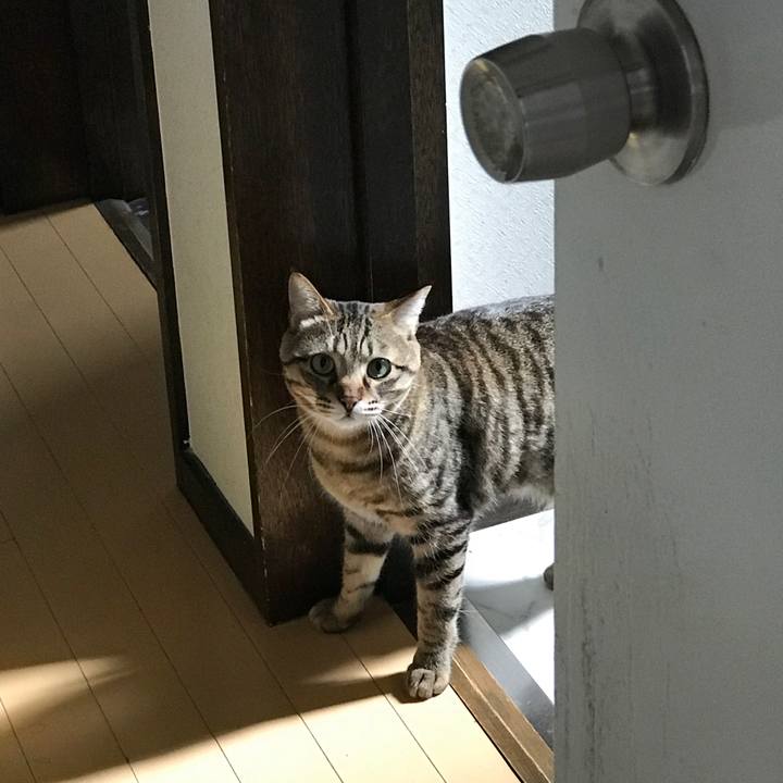 3b2d3244 195f 42c8 9341 bb7a690e59ea