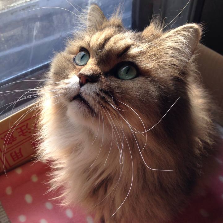 3b2e31eb 7c5c 4293 acd3 ec2a1e14cd85