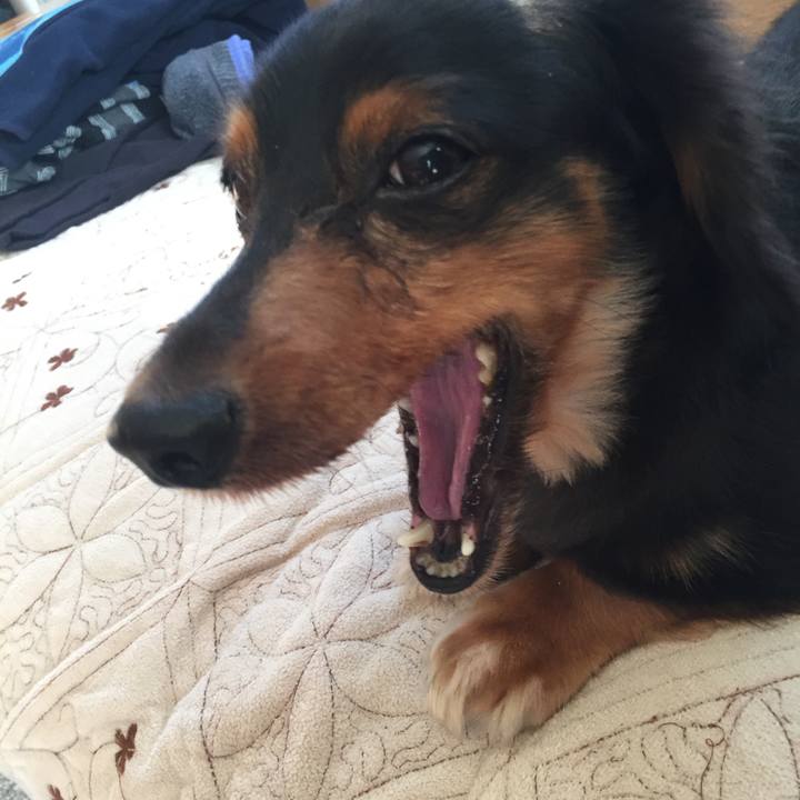 3b2e7306 e690 4e6e bfa7 60a4ddf96b6e