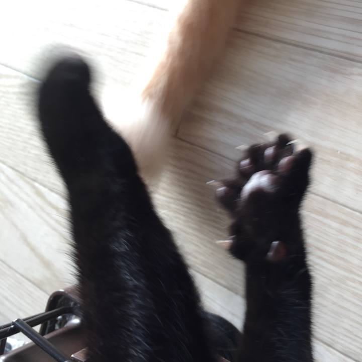 3b2e9fe6 6e20 4877 9295 d8d3cc3a6199