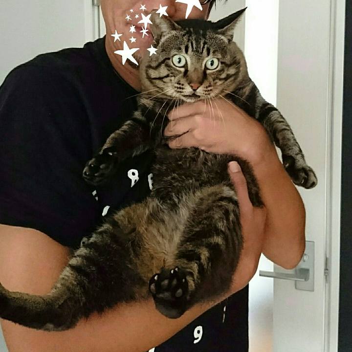 3b2ea926 6262 4bc1 a7b6 8a9ba764e067