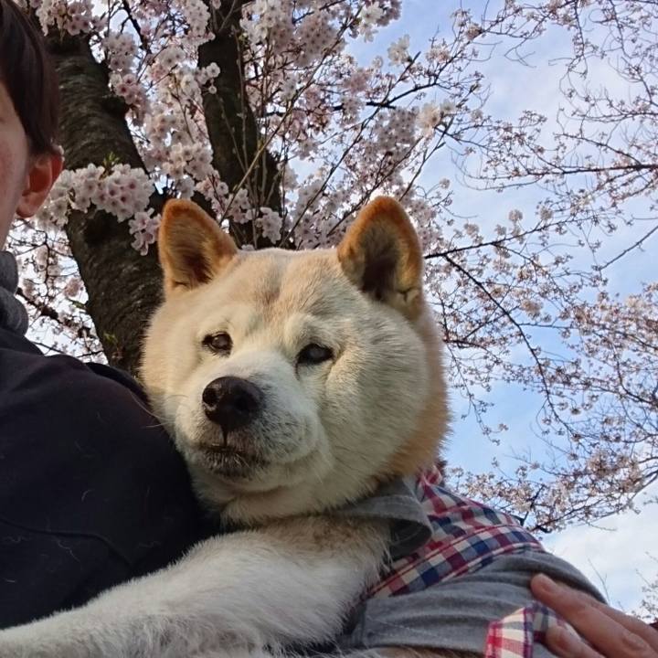 3b2f237a 8b8d 41d0 a503 f8cb6b803f15