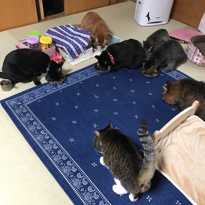 3b2fc138 b3e7 487c bef0 9742cfc6e68e