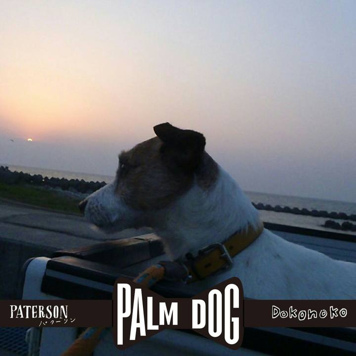 3b2ff99e 3032 4a8e 9a1b 53c36e0ed9a0