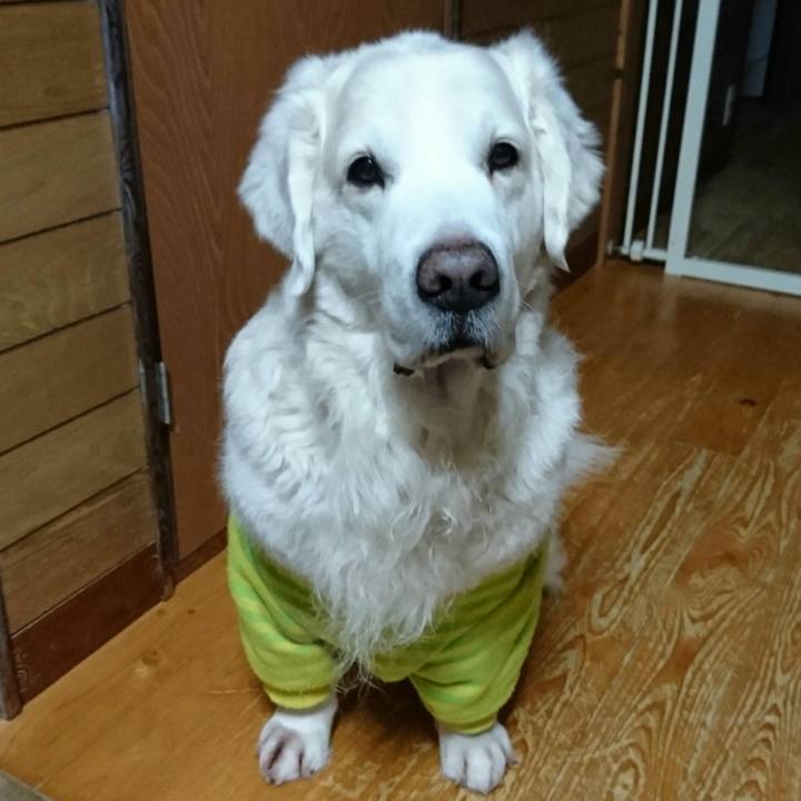 3b30111e d3ff 4947 ae27 c5dfe43734f2