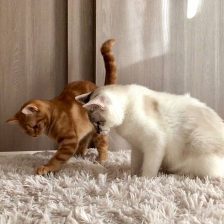 3b3032b5 5496 456e 92e9 1dca8e8db9ef