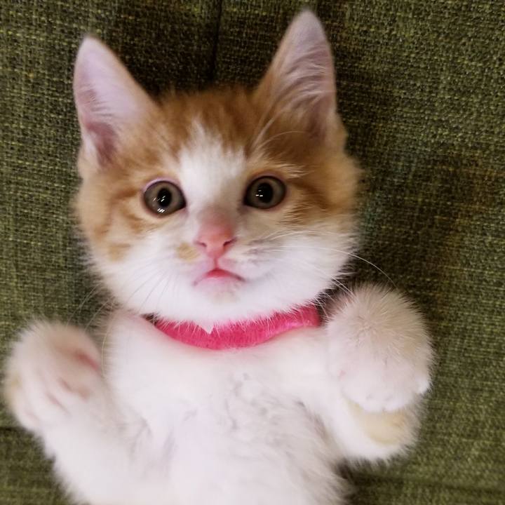 3b306d7c c78c 488d 9c12 d5c347c3f09a