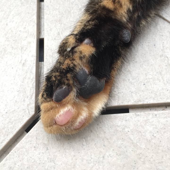 3b308c64 d980 4472 b2a3 d23e79ed748e