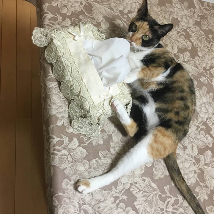 3b30bd1b 3d9c 4bcb 9162 1da98fc8850e